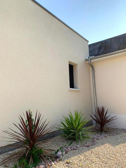 Villa Chic 3 Chambres ,2 Sdb Châtellerault Eksteriør billede